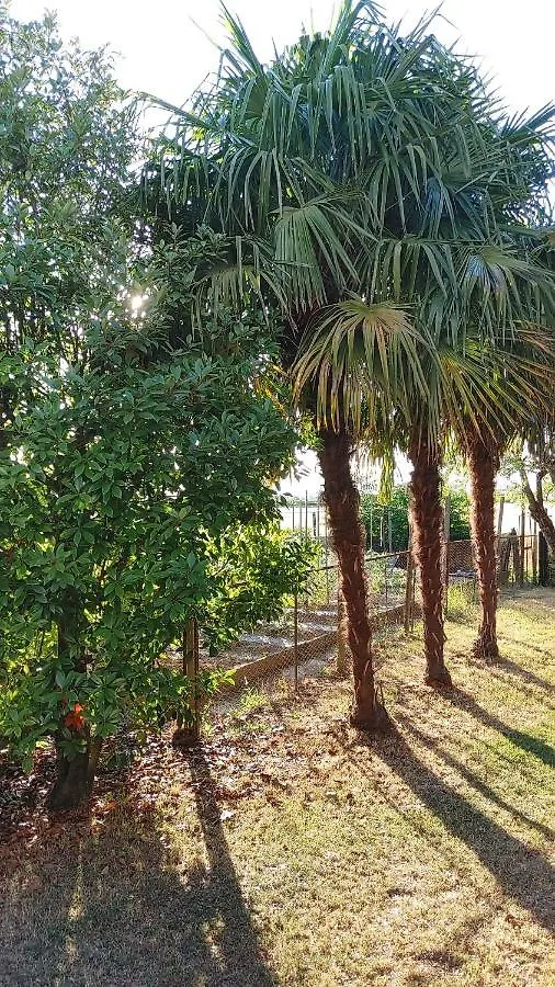 B&B Al Vecio Morer San Donà di Piave